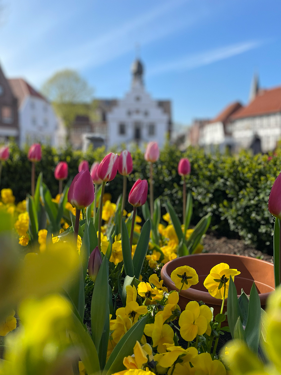 lingen2-scaled